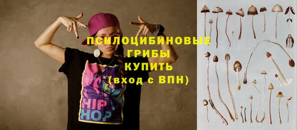 ешки Алзамай